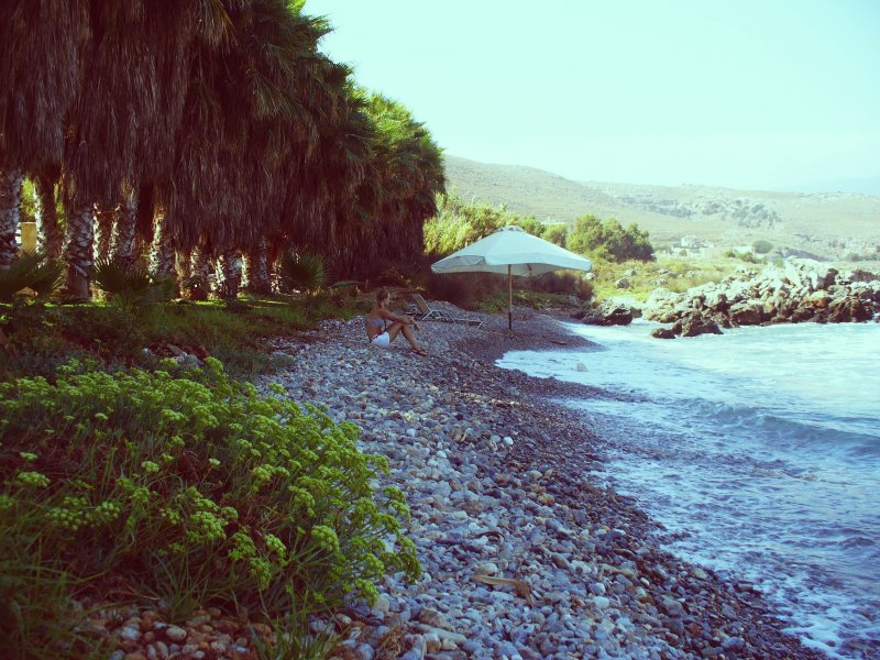 341055_230751846970601_3771322_o