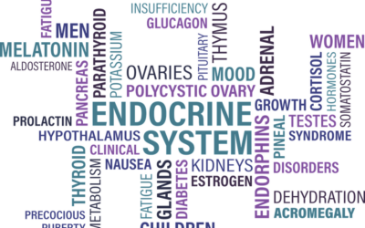 MIĘDZYNARODOWE ZALECENIA DLA PCOS 2018 – CO NOWEGO?